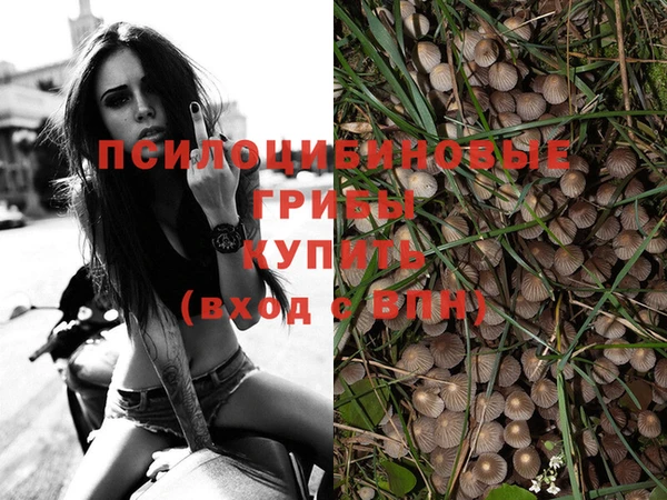 твердый Михайловка