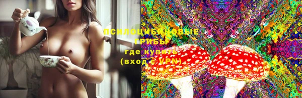 спайс Михайловск