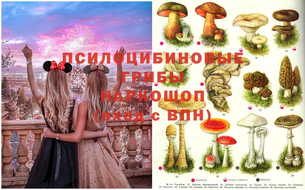 спайс Михайловск