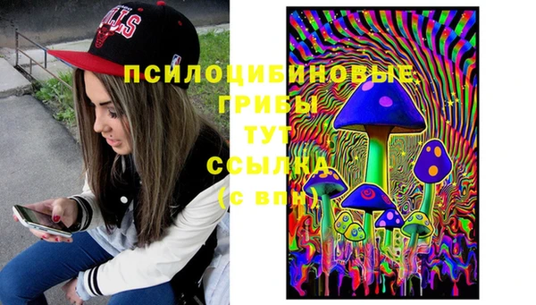 спайс Михайловск