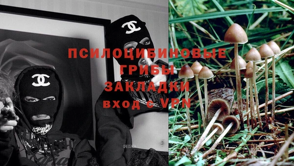 кокаин перу Михайлов