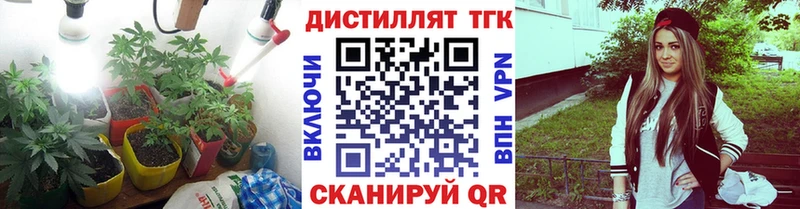 ТГК Wax  Томилино 