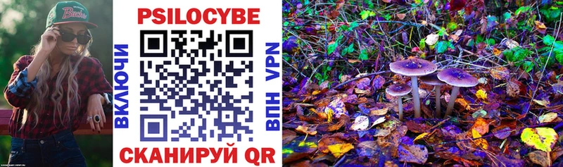Галлюциногенные грибы Psilocybe  OMG tor  Томилино 